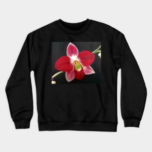 Blooming Red Orchid Crewneck Sweatshirt